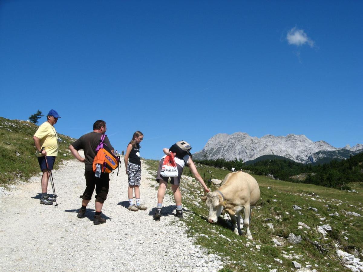 Alpine Chalet Velika Planina - Irenca - I Feel Alps Stahovica Esterno foto